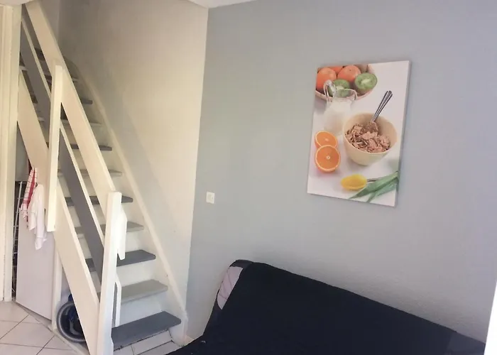 דירה En Duplex A Deux Pas De La Avec Jardin - Fr-1-712-24